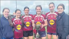  ?? ?? Junior panel members, l-r: Sarah O’Sullivan, Erinn Brennan, Ciara Ryan, Orla O’Connell, Isobel O’Donnell and Rachael Mullins with the cup.