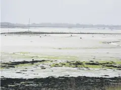  ?? PHOTOGRAPH: STEVE ROBARDS ?? Chichester Harbour at Prinsted