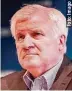  ??  ?? Horst Seehofer