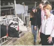  ?? THE CANADIAN PRESS ?? Agricultur­e Minister Marie-claude Bibeau visits a dairy farm in Compton, Que.