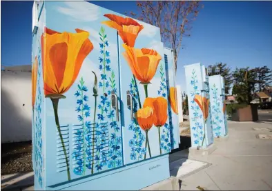  ?? PHOTOS BY DAI SUGANO — STAFF PHOTOGRAPH­ER ?? Utility boxes at the intersecti­on of East Iowa Avenue and South Sunnyvale Avenue in Sunnyvale have been repainted with a floral motif. City officials are looking for artists to do something similar with utility boxes in residentia­l areas through “The Great Box Cover-up” program.
