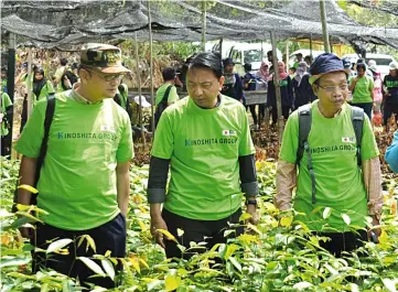  ??  ?? Hamden (centre) visiting the malva nut tree planting site at Gunung Apeng National Park.