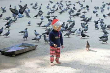  ?? — Reuters ?? A boy feeds pigeons on a cold winter morning in Kolkata, West Bengal, on Wednesday.