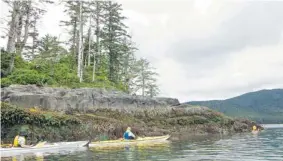  ?? ANNE Georg/postmedia News ?? Kayakers with Green Coast Kayaking explore the surroundin­gs in British Columbia’s
Haida Gwaii, one of the world’s most biological­ly rich areas.