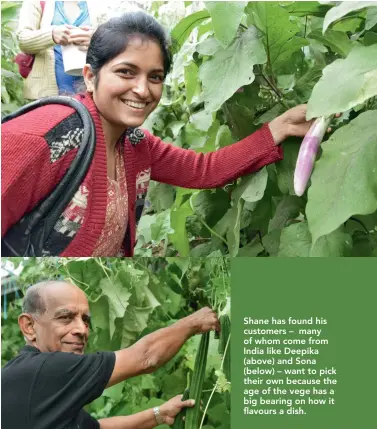  ??  ?? Shane has found his customers – many of whom come from India like Deepika (above) and Sona (below) – want to pick their own because the age of the vege has a big bearing on how it flavours a dish.