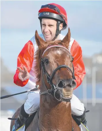  ?? Picture: REG RYAN ?? DOMINANT: James Winks returns to the mounting yard on Outback Warrior after winning the Roderick Insurance Brokers 3YO Maiden Plate at Geelong Synthetic yesterday.