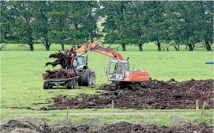  ??  ?? Shanghai Pengxin spent $22 million upgrading the 16 farms it bought that were managed by Landcorp.