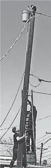  ?? AUSTIN GRAD/THE REPUBLIC ?? Calls for a cat trapped on a utility pole drew emergency calls from across the country, bogging down the area’s 911 system.