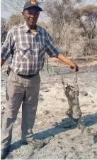  ?? ?? Devastated­d farmer, Mosimanega­pe Basenyapel­o holding a dead goat