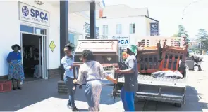  ?? ?? SPCA shop assistant, Samke Shangase, shop manager, Busi Mlotshwa and general assistant Philani Makhaye offload bought furniture at the SPCA’S Main Street Charity Shop.