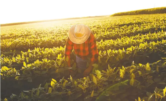  ?? GETTY IMAGES ?? The treatment of migrant workers at the hands of some employers last year was so bad federal Health Minister Patty Hajdu called it a “national disgrace.”