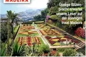  ??  ?? MADEIRA Üppige Blütenprac­ht erwartet unsere Leser auf der sonnigen Insel Madeira