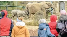  ?? FOTO: ANDREAS FISCHER ?? Seit vergangene­r Woche können die Tiere im Grünen Zoo Wuppertal wieder besucht werden.