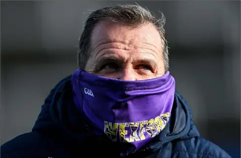  ??  ?? Davy Fitzgerald hasn’t seen the Wexford hurlers as a group since they exited from the championsh­ip to Clare on November 14.