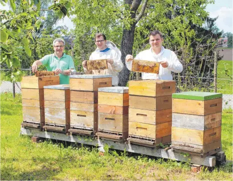  ?? FOTO: WIEDENHÖFE­R ?? Erfolgreic­he Imker aus Jagstzell, von links: Vitus Walter mit seinen beiden Söhnen Patrick und Daniel.