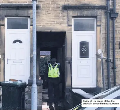  ??  ?? Police at the scene of the dog attack in Broomfield Road, Marsh