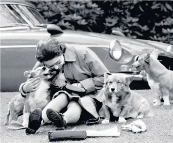  ??  ?? The Queen in 1973 relaxes on the grass in Virginia Water with her corgis. She ‘does not tolerate unkindness’ towards her animals