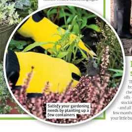  ??  ?? Satisfy your gardening needs by planting up a few containers