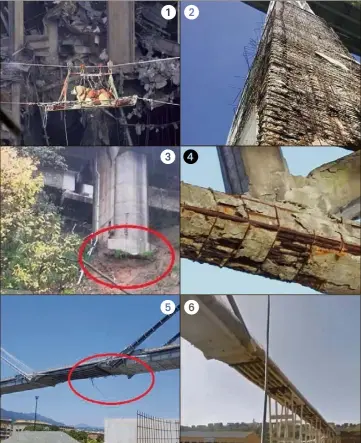  ?? (Photos Twitter et Google) ?? Chien dans une nacelle, piliers dont la structure est à nu, glissement de terrain... Les fausses informatio­ns ont envahi le web quelques heures après le drame.