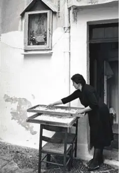  ?? ?? Una donna dispone la pasta fatta in casa ad asciugare, Bari Vecchia,
1985