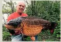  ??  ?? Nigel Ramsbottom’s 39lb common.