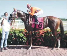  ?? ?? Pie de foto: William Arias, entrenador del ejemplar All Good (8) posa junto a su pupilo que tiene encima a Omar de Los Santos. (Marcelo de la Cruz)