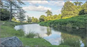  ??  ?? The River Lin at Bradgate Park by Jon Pearson