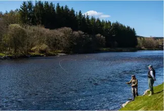  ??  ?? Sam casts into the river Dee under Robert’s watchful, experience­d eye — hopes are high for a springer