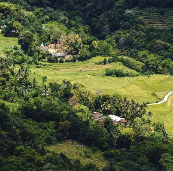  ??  ?? Du plateau de Maningala, la vue plonge sur l’étagement des rizières et la vallée de la Telgamu Oya.
