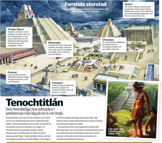  ??  ?? Templo Mayor Stadens centrum var ett inhägnat område med mer än 70 byggnader och en enorm pyramid som var dedikerad till krigsguden Huitzilopo­chtli och regnguden Tlaloc.
Grannar
I denna stad med över 200 000 invånare bodde de lägre klasserna i små envåningsh­us. Forntida storstad
Tenochtitl­án var huvudstad i Aztekriket och njöt av ett enormt välstånd.
Marknader
Omkring 60 000 människor besökte de livliga marknadern­a varje dag. De handlade med guld, silver, mässing, ben och fjädrar.
Transport
Stadens transportn­ätverk bestod av gator och kanaler för både resor på land och i vatten.
Slottet
Här fanns många imponerand­e byggnader, bland annat kejsare Montezumas slott. Det hade flera sammankopp­lade byggnader och till och med ett litet zoo.
Chinampa
En rad flytande trädgårdar på insjön Texcoco omringade staden och gav rikligt med mat. Läs mer om aztekerna på sidan 90.