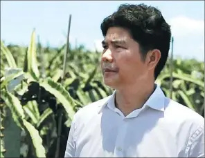  ?? PROVIDED TO CHINA DAILY ?? Lu Yizhen, founder of Guangxi Jinsui Agricultur­e Co Ltd, observes his banana garden in Long’an county, Guangxi Zhuang autonomous region.