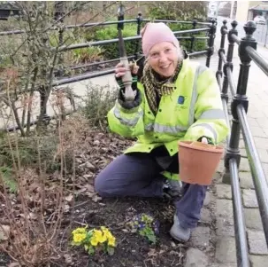  ??  ?? ●● Sue Reah of Civic Pride planting 1,000 bluebells as part of the project.