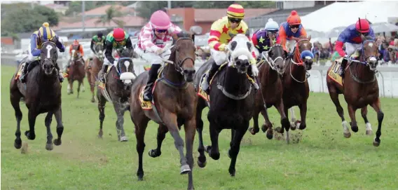  ??  ?? SAFE. Former Gold Cup champion Wavin' Flag (pink colours) was one of two horses stolen from the Thoroughbr­ed Horses Rehoming Centre in Philippi, Cape Town. He was found on Friday and is back in the centre.