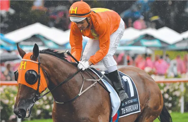  ?? Picture: Vince Caligiuri/Getty Images ?? Brad Stewart riding The Harrovian to the start of the All-star Mile at Moonee Valley in March.