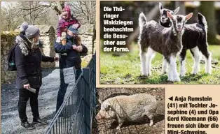  ??  ?? Die Thüringer Waldziegen beobachten die Besucher aus der Ferne.
Anja Rumstein (41) mit Tochter Josephine (4) und Opa Gerd Kleemann (66) freuen sich über die Mini-Schweine.