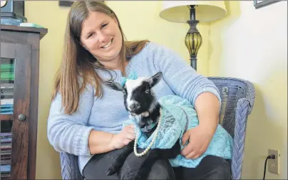  ?? COLIN MACLEAN/JOURNAL PIONEER ?? Devon Saila holds her Nigerian dwarf goat, Poppet, one of seven that live with her family and make visits to Summerside.