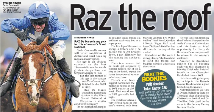  ??  ?? STAYING POWER Gavin Cromwell’s Raz De Maree can run a big race in the Grand National