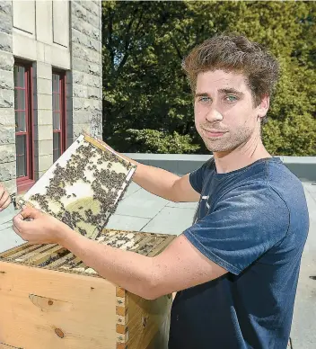  ??  ?? Sur le toit du Collège Saint-charles-garnier, il y a 60 000 abeilles. Au début de la saison, en juin, il y en avait 10 000. Gabriel Gagnon Anctil est apiculteur pour l’entreprise Alvéole, qui installe des ruches en milieu urbain à des fins éducatives.