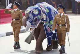  ?? — AP ?? MATARA, Sri Lanka: In this May 19, 2015 file photo, Sri Lankan police officers march with a ceremonial­ly dressed elephant calf during a Victory Day parade in about 165 km south of Colombo.