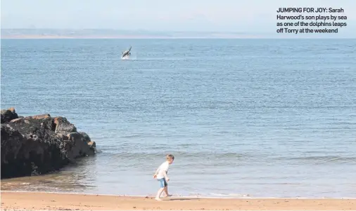  ??  ?? JUMPING FOR JOY: Sarah Harwood’s son plays by sea as one of the dolphins leaps off Torry at the weekend