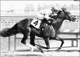  ?? JIM MCCUE/MARYLAND JOCKEY CLUB ?? Crabcakes earned a career-high 91 Beyer Speed Figure when he won this allowance race at Laurel Park on July 26.