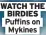  ?? ?? wATCH THE BIRDIES Puffins on Mykines