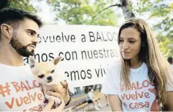  ?? Miquel González / Shooting ?? La pareja, ayer durante la protesta, con su otra chihuahua