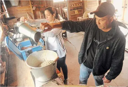  ?? DAVID BEBEE PHOTOS WATERLOO REGION RECORD ?? Roast master Luis Molina and his wife, Adriana Giron, work at Blacksmith &amp; Bean Coffee Co. on the Barrie farm in Cambridge.