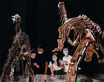  ?? SU YANG / FOR CHINA DAILY ?? Visitors look at dinosaur fossils on Sunday at Nanjing Museum in Jiangsu province. The museum was the main venue for China’s events to mark Internatio­nal Museum Day on Monday.