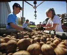  ?? ROBERT F. BUKATY/AP PHOTO ?? High school students Adam Paterson (left), 15, and Jordi Legasse (right), 17, pulls rocks and unwanted materials from a conveyor belt moving potatoes into storage facility in Mapleton, Maine.