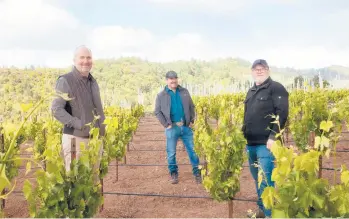  ?? FRANCESCA TAMSE/THE NEW YORK TIMES ?? From left, Kevin Harvey, the proprietor of Aeris, Javier Tapia, the vineyard manager, and Jeff Brinkman, the winemaker, at Rhys Vineyards’s Centennial Mountain vineyard in Santa Clara County, California.