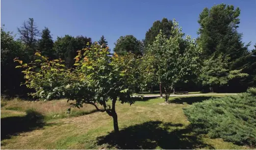  ?? Fotografij­e Jože Pojbič ?? Vrt spominov in tovarištva je arboretum z veliko humano in moralno dodano vrednostjo.