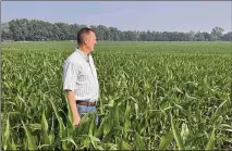  ?? ASSOCIATED PRESS ?? Mike Shane stands in his corn field near Peoria, Illinois, on Tuesday. Corn stalks should be 10 feet high by now, but they are barely up to his waist as states in the central U.S. have been hit hard by drought.