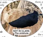  ?? ?? NOT IN CLARE: The sinkhole